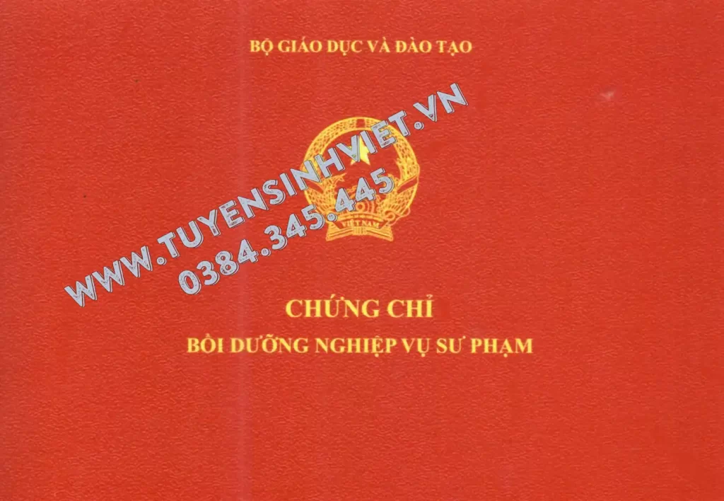 Hướng Dẫn Đăng Ký Chứng Chỉ Nghiệp Vụ Sư Phạm Tại Tuyển Sinh Việt (Chuẩn 2025 – Chi Tiết Từng Bước) 1 Nghiệp vụ Sư phạm