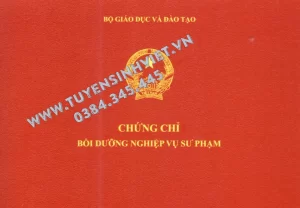 Chứng chỉ Nghiệp Vụ Sư Phạm Là Gì? Học Ở Đâu Uy Tín? Chi Phí – Điều Kiện – Thời Gian (Cập Nhật 2025) 3 boi-duong-nhgiep-vu-su-pham-