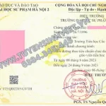 chuan chuc danh tieu hoc dai hoc su pham 2