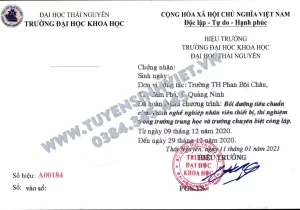 chuẩn chức danh nghề nghiệp viên chức thiết bị
