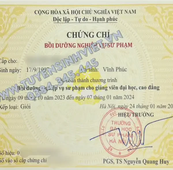 chung-chi-nghiep-vu-su-pham-dai-hoc