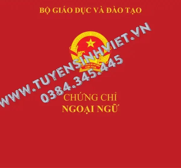 chung chi tieng anh b1 dai hoc ha noi