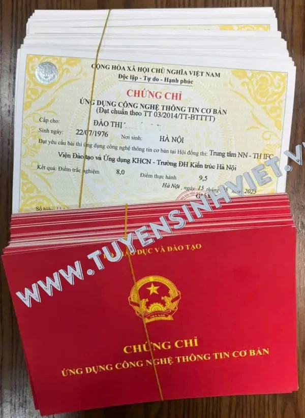 chung chi tin hoc cntt co ban