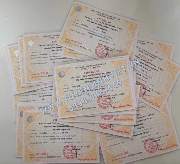 chung chi tin hoc cntt hoc vien nong nghiep viet nam