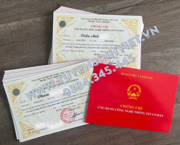 chung-chi-tin-hoc-co-ban-tai-dai-hoc-cong-doan