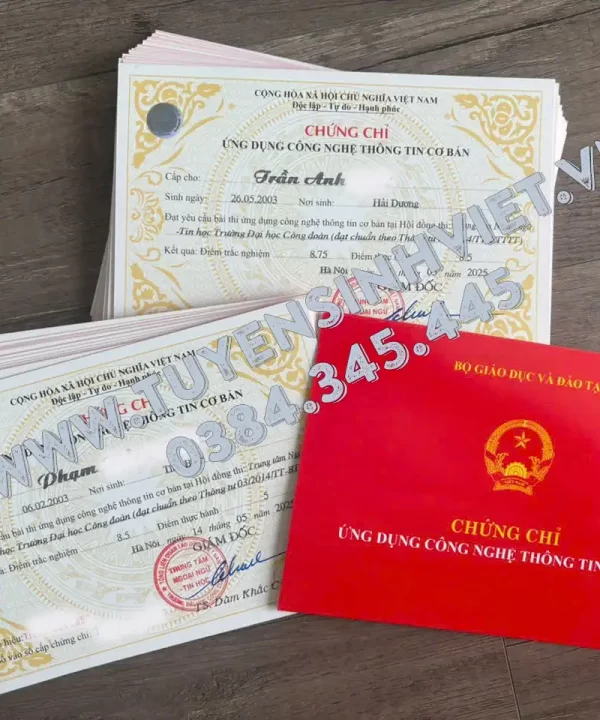 chung-chi-tin-hoc-co-ban-tai-dai-hoc-cong-doan