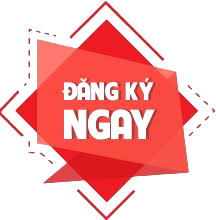 Bồi Dưỡng Chuẩn Chức Danh Nghề Nghiệp: Hướng Dẫn Toàn Diện Cho Giáo Viên Việt Nam 2025 5 Chứng Chỉ Tin Học Ứng Dụng CNTT