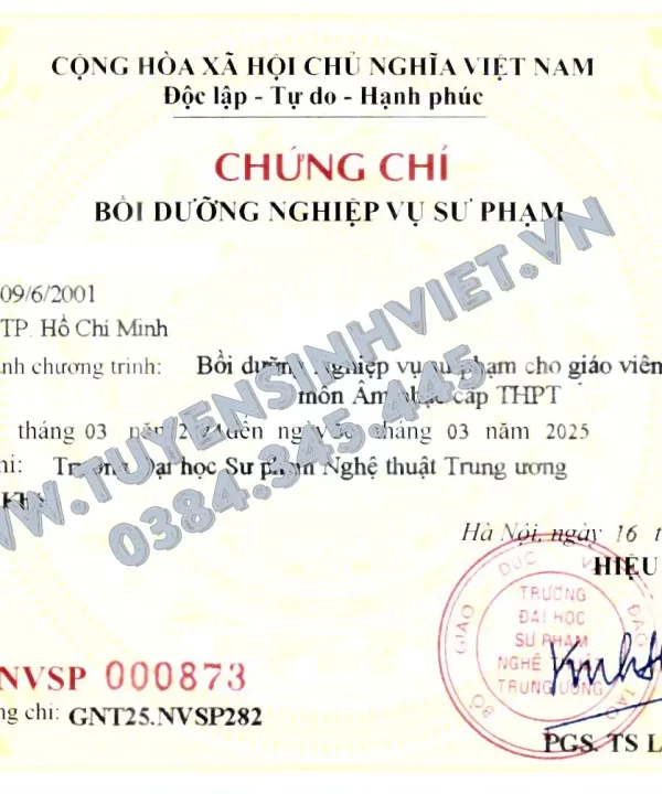 Chung-chi-boi-duong-nghiep-vu-su-pham-giao-vien-my-thuat