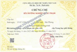 Chứng chỉ nghiệp vụ sư phạm Kinh tế pháp luật