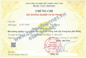 chung-chi-nghiep-vu-su-pham-tieng-anh-thpt