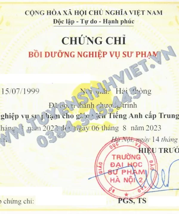 chung-chi-nghiep-vu-su-pham-tieng-anh-thpt