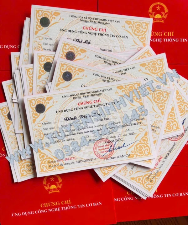 chung chi tin hoc co ban dai hoc cong doan 03 08 2025