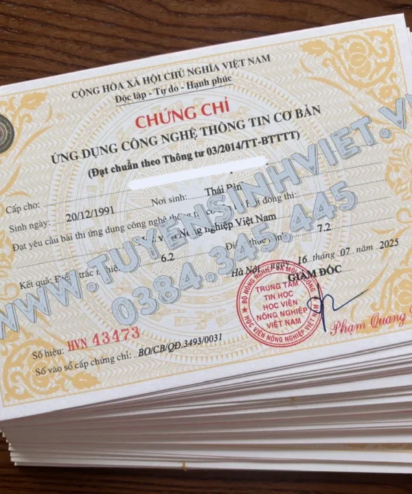 chung chi tin hoc hoc vien nong nghiep 03 08