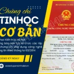 chung chi tin hoc truong dai hoc kien truc ha noi