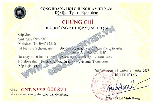 nghiep-vu-su-pham-giao-vien-my-thuat
