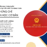 thi-chung-chi-tin-hoc-co-ban