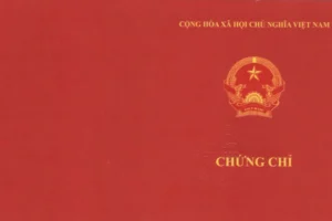 Bồi Dưỡng Chuẩn Chức Danh Nghề Nghiệp: Hướng Dẫn Toàn Diện Cho Giáo Viên Việt Nam 2025 1 bồi dưỡng Chuẩn Chức Danh Nghề Nghiệp