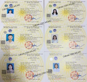 Chứng chỉ Bồi dưỡng theo Chuẩn chức Danh nghề Nghiệp Giáo viên