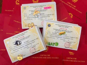 thi Thi Chứng chỉ Tin học Cơ bản online