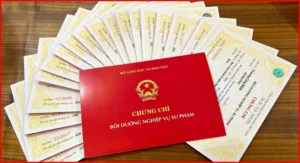Chứng Chỉ Bồi Dưỡng Nghiệp Vụ Sư Phạm