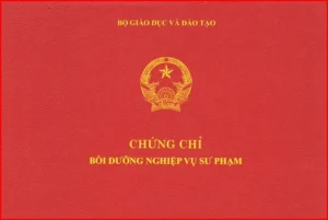 Chứng chỉ Bồi dưỡng Nghiệp vụ Sư phạm cho giáo viên