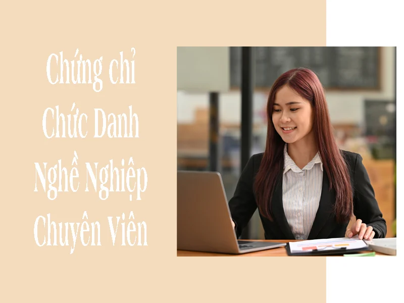 Chức Danh Nghề Nghiệp Chuyên Viên Là Gì? Quy Định, Đối Tượng Áp Dụng Và Phân Tích Thực Tiễn Tại Tuyển Sinh Việt 2026 5 Chung chi Chuc Danh Nghe Nghiep Chuyen Vien