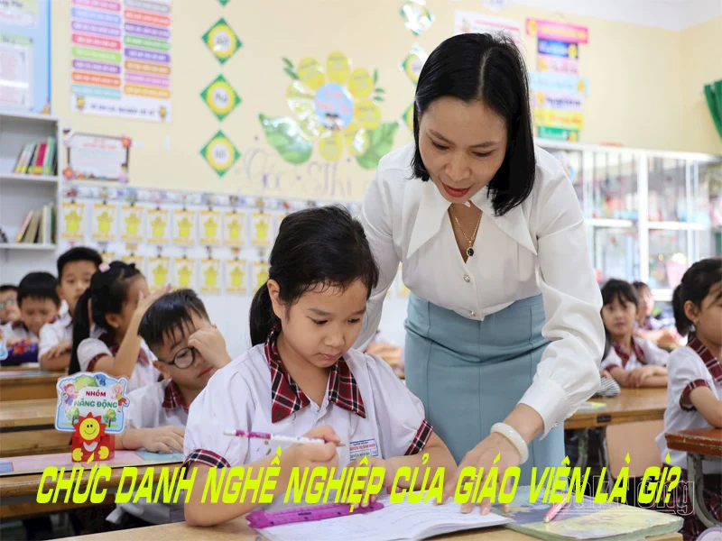 chuc danh nghe nghiep giao vien la gi
